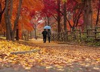 마음 건강 지키는 7가지 수칙