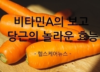 비타민A의 보고 당근의 놀라운 효능