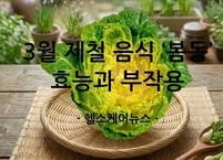 식탁 위 ‘핫’ 아이콘 3월 제철 음식 봄동 효능