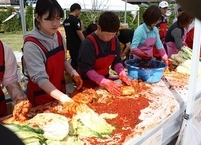 진안고원에서 나는 신선한 재료로 맛있는 김치 담그러 오세요... 2020 김치보쌈축제 개최