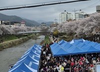 제2회 주민과 함께하는 아중천 벚꽃 나들이 잔치 