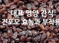 영양 간식 건포도 효능과 부작용