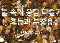 '물 속의 웅담'이라 불리는 다슬기 효능과 부작용