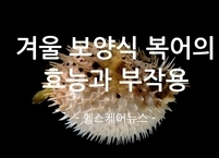 겨울철 대표 보양식 복어의 효능과 부작용