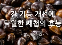 간 기능 개선에 탁월한 재첩의 효능