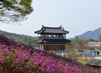 [포토뉴스] 형형색색 철쭉으로 뒤덮힌 익산 서동공원