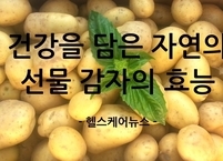 건강을 담은 자연의 선물 감자의 효능