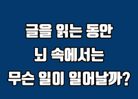 글을 읽는 동안 뇌 속에서는 무슨 일이 벌어질까? 