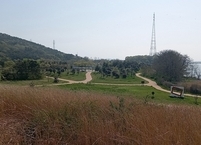 군산시 금강습지생태공원, 반려동물 동반 전북여행 추천지 선정