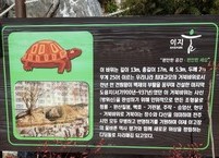 국내 최대의 전주 거북바우
