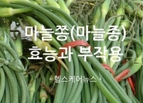 마늘쫑(마늘종)의 효능과 부작용