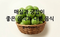 6월 제철 음식 매실, ‘최고와 최악의 음식 궁합’