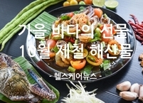 가을 바다의 선물 10월 제철 해산물