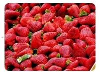 지금 꼭 먹어야하는 제철 과일 딸기의 효능
