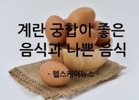 완전식품 계란과 함께 먹으면 좋은 음식과 나쁜 음식