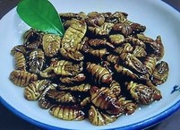 한국인들만 먹는 특이한 식품