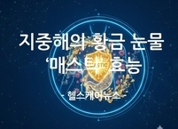 지중해의 황금 눈물 '매스틱', 효능과 부작용