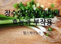 장수의 상징 대파의 효능과 부작용