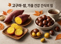 가을 저녁, 고구마 한 입이 마음을 채우는 이유