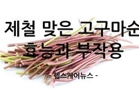 제철 맞은 고구마순의 효능과 부작용