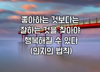 좋아하는 것보다는 잘하는 것을 찾아야 행복해질 수 있다