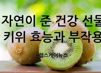 자연이 준 건강 선물 키위 효능과 부작용