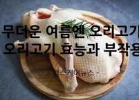 무더운 여름 보양식엔 오리고기~~ 오리고기 효능