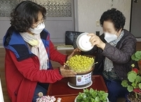 남원시, 어르신들 콩나물키우며 힐링하세요~!