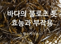 바다의 불로초 톳 효능과 부작용