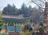 더운 여름을 시원하게 달래 줄 건지산 장덕사