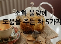 소화 불량에 도움을 주는 차 5가지