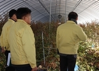 진안군, 군민 안전 최우선! '겨울철 자연재난 대비' 현장 점검 구슬땀