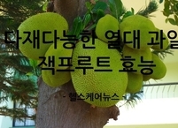 다재다능한 열대 과일 잭프루트 효능과 부작용