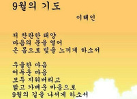 시는 영혼의 비타민이다
