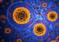 젊음과 건강을 유지시키는 생체 시스템 ‘오토파지 (Autophagy)'