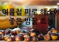 여름철 피로 해소에 좋은 밤꿀 효능