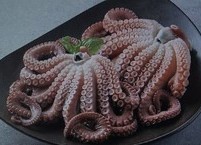 마흔아홉 살을 넘길 수 있었던 신비한 보약 피문어
