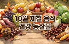 10월 제철 음식 건강 농산물 8가지