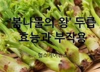 '봄나물의 왕' 두릅 효능과 부작용