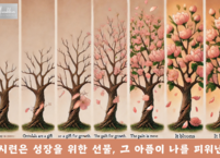자아성찰과 성장: 진정한 행복을 찾아서