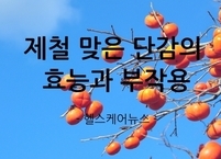 신선이 먹은 제철 맞은 단감의 효능