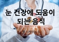 눈 건강(시력)에 도움이 되는 음식(식품)