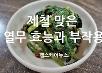 제철 맞은 열무 효능과 부작용