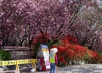 전주시, 코로나19 지역감염 확산으로 완산공원 꽃동산 출입 통제