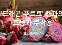 슈퍼푸드 ‘드래곤 푸르트’ 용과의 효능과 부작용