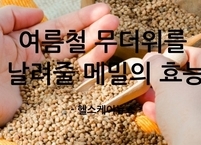 여름철 무더위를 날려줄 메밀의 효능