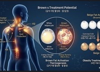 체온을 태워 에너지를 쓰다 - 갈색지방은 비만 치료의 열쇠가 될 수 있을까