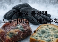 겨울철 불청객 노로바이러스 예방수칙