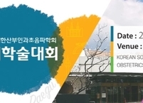 대한산부인과초음파학회, 제27차 추계학술대회 개최
