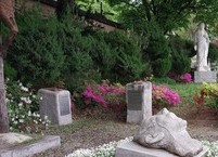 그들은 무엇을 보았기에 그리 했을까